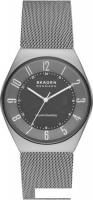 Наручные часы Skagen Grenen SKW6836
