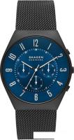 Наручные часы Skagen Grenen SKW6841