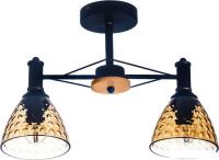 Люстра средней высоты Aitin Pro C1314/2 (черный)