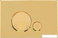 Панель смыва OLI Globe 152954 (золотистый)