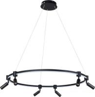 Подвесная люстра Arte Lamp Ring A2186SP-1BK