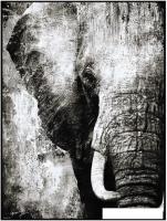 Картина Декарт 8Л0586