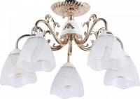 Люстра средней высоты Myfar Nicole MR1661-5C