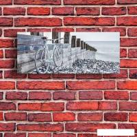 Картина на стекле Stamprint Велосипед у воды SD019 (50x125)