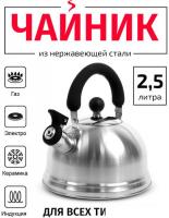 Чайник со свистком TimA WTK160