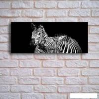 Картина на стекле Stamprint Две зебры AN013 (50x125)