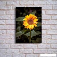 Картина на стекле Stamprint Цветок солнца AR016 (70x50)