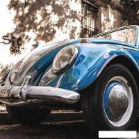 Картина на стекле Stamprint Синий жук VR016 (50x50)