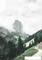 Картина на стекле Stamprint Лес NT010 (100x70)