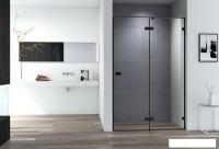 Душевая дверь Cezares BELLAGIO-B-12-120-C-NERO