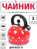 Чайник со свистком TimA WTK241C