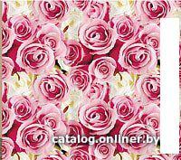 Шторка-занавеска для ванны V-line 1583-1