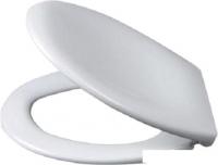 Сиденье для унитаза Ideal Standard Ocean W301801