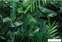 Фотообои Vimala Объемные листья 2 270x400