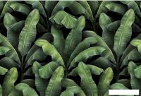 Фотообои Vimala Листья патерн 270x400