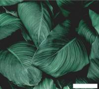 Фотообои Vimala Объемные листья 270x300