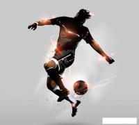 Фотообои Vimala Футболист 270x300