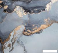 Фотообои Vimala Флюиды 15 270x300