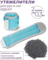 Комплект утяжелителей Indigo Идеал 2x0.3 кг SM-408/0,3 (бирюзовый)