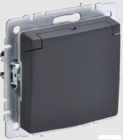 Розетка IEK Brite РСбш10-3-44-БрГ