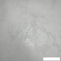 Виниловые обои Артекс Багамы 10824-01