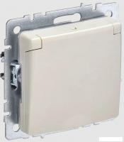 Розетка IEK Brite РСбш10-3-БрКр
