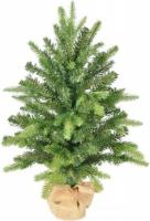 Ель GrandSiti Мила 0.6 м