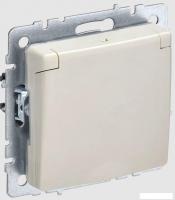 Розетка IEK Brite РСбш10-3-44-БрКр