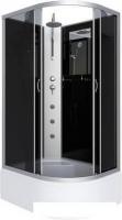Душевая кабина Niagara NG-2510-14LBKTG 120x80x215