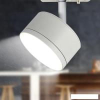 Трековый светильник ЭРА TR48-GX53 WH Б0054158