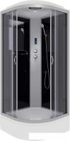 Душевая кабина Niagara NG-3502-14P 100x100 (тонированное стекло)