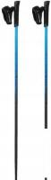 Треккинговые палки Viking Pro-Trainer 650/20/7879-0015 (р. 105, синий)