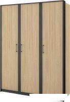 Шкаф распашной Неман мебель Стенли МН-037-03 (дуб прованс/черный)