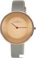 Наручные часы Skagen SKW2139