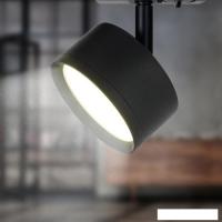 Трековый светильник ЭРА TR48-GX53 BK Б0054159