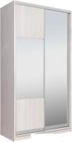Шкаф-купе Рэйгрупп 138 YYX Elgon РГ-05.06 (ясень снежный/хром)