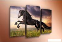 Модульная картина Arthata m-000316 120x80