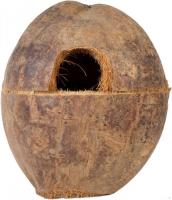 Декорация Lucky Reptile Coco Box DCB-1