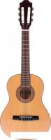 Акустическая гитара Fabio FC02 N