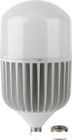 Светодиодная лампочка ЭРА LED Power T160 E27/E40 100 Вт 6500 К