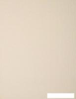 Мини рулонные шторы Delfa Сантайм СРШ 01МД 2813 62x170 (кремовый, рисунок роял)