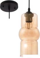 Светильник Aitin Pro НСБ 01-60-101 N4647/1H