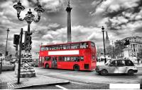 Фотообои Citydecor Английская прогулка 400x254