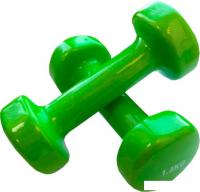 Набор гантелей Indigo 92005 IR 2x1.5 кг (салатовый)