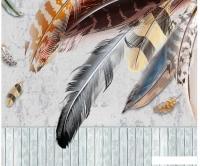 Фотообои Citydecor Перья 300x254