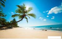 Фотообои Citydecor Пляж 400x254