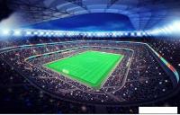 Фотообои Citydecor Стадион 2 400x254