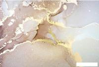 Фотообои Vimala Флюиды бежевые 270x400