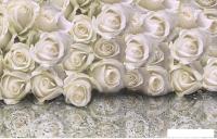 Фотообои Citydecor Розы с каплями росы 400x254