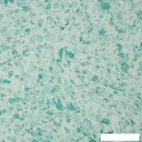 Жидкие обои Silk Plaster Victoria 723